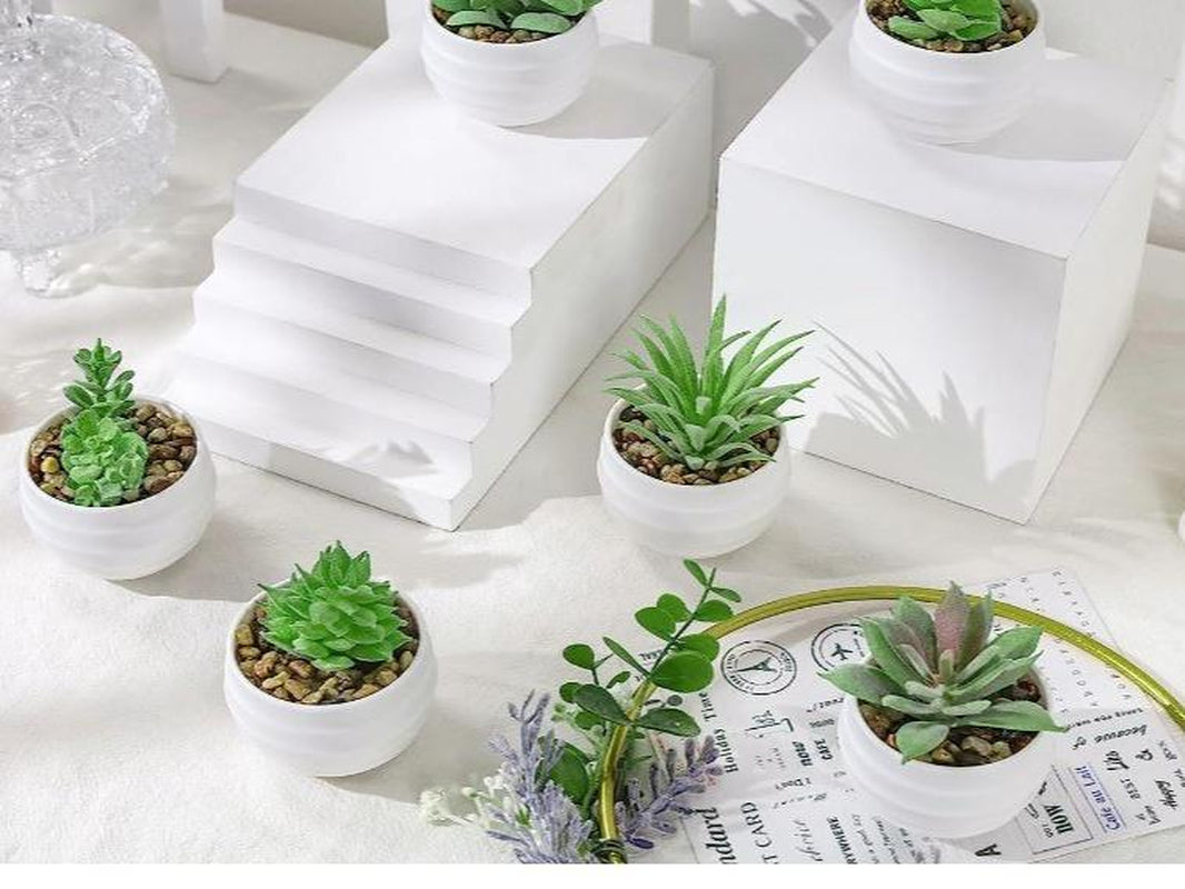 Set of 6 Succulents Plants Artificial in Pots Small Fake Plants for Bedroom Aesthetic Living Room Decor Decorative Faux Kitchen