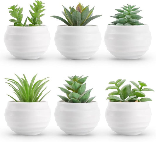 Set of 6 Succulents Plants Artificial in Pots Small Fake Plants for Bedroom Aesthetic Living Room Decor Decorative Faux Kitchen