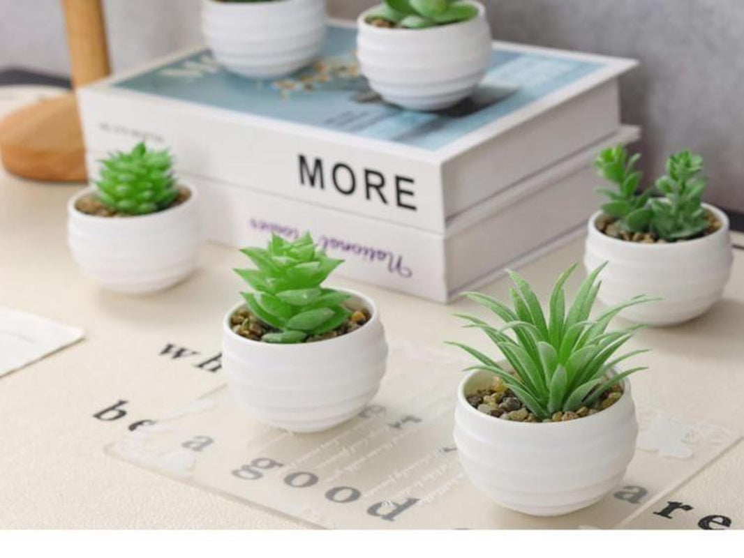 Set of 6 Succulents Plants Artificial in Pots Small Fake Plants for Bedroom Aesthetic Living Room Decor Decorative Faux Kitchen
