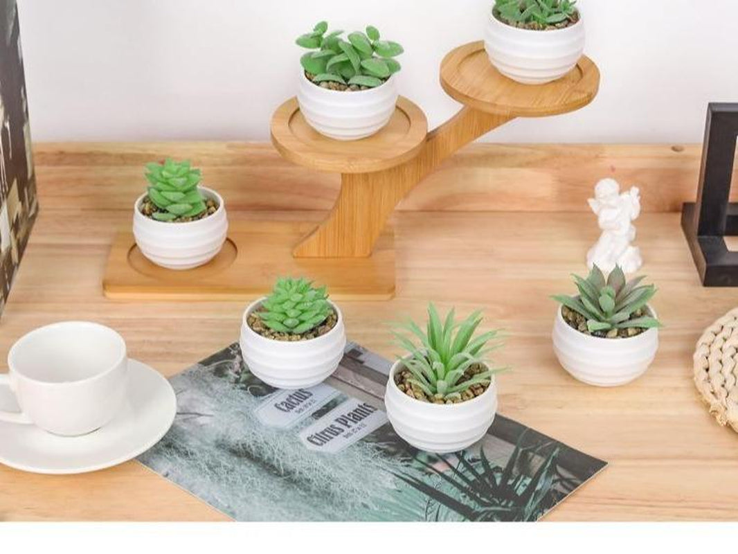 Set of 6 Succulents Plants Artificial in Pots Small Fake Plants for Bedroom Aesthetic Living Room Decor Decorative Faux Kitchen