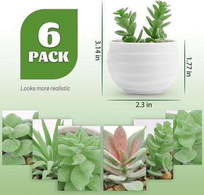 Set of 6 Succulents Plants Artificial in Pots Small Fake Plants for Bedroom Aesthetic Living Room Decor Decorative Faux Kitchen
